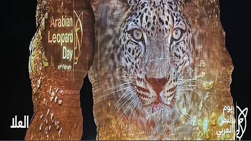 بالفيديو.. إضاءة معالم المملكة والإمارات وعمان دعمًا لـ "النمر العربي"