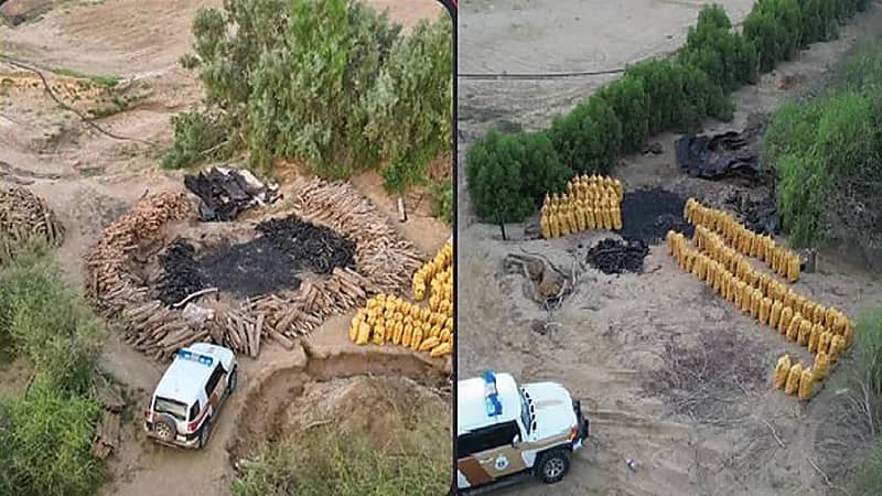 ضبط 4 مقيمين مخالفين لنظام البيئة في القنفذة.. فيديو