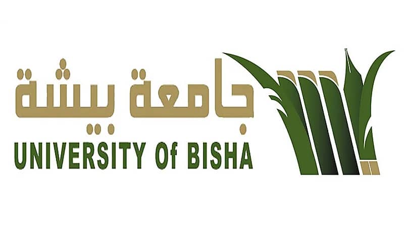 وظائف أكاديمية شاغرة بجامعة بيشة