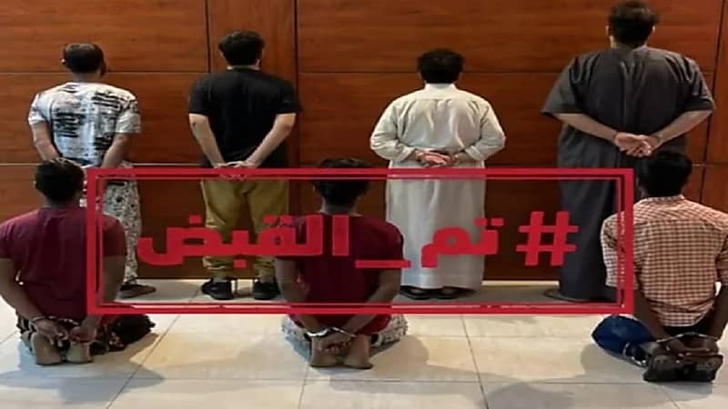 بالفيديو.. جهود الأمن العام في القبض على المخالفين والسارقين