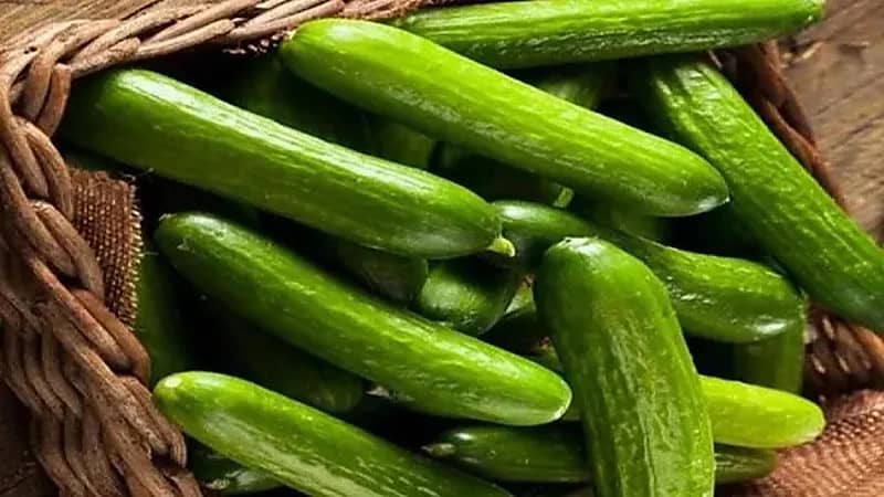 6 فوائد صحية للخيار في شهر رمضان