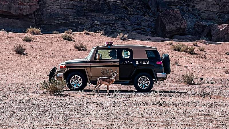 ضبط مخالف لدخوله بمركبته في الفياض والروضات في محمية الملك عبدالعزيز الملكية