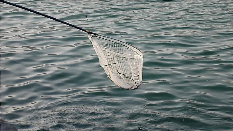 رجل يقتل شابا بشبكة صيد كهربائية