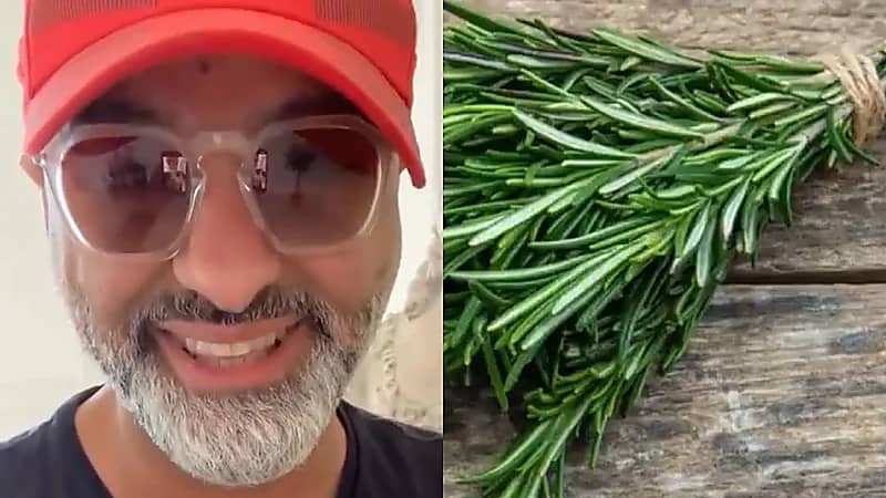 الحداد: الروزماري مضاد للشيخوخة ويحارب السرطان .. فيديو