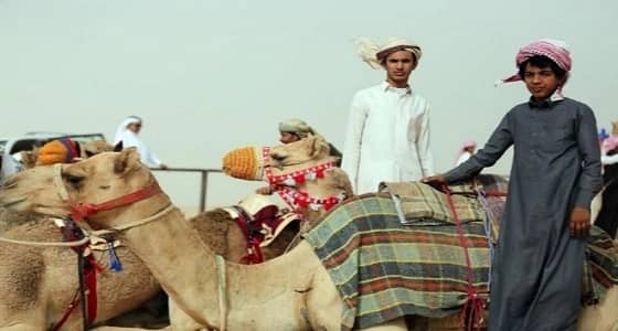 بالصور.. محافظ وادي الدواسر يشهد سباق الهجن