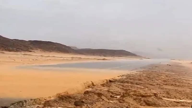 شاهد.. لحظة هطول أمطار غزيرة بتبوك 