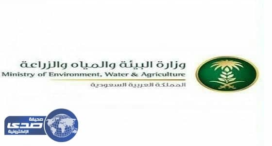 استراتيجية جديدة لتنظيم الرعي ومكافحة التصحر