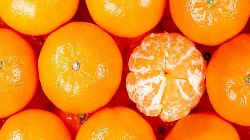 خبيرة تغذية تحذر من الإفراط في تناول اليوسفي