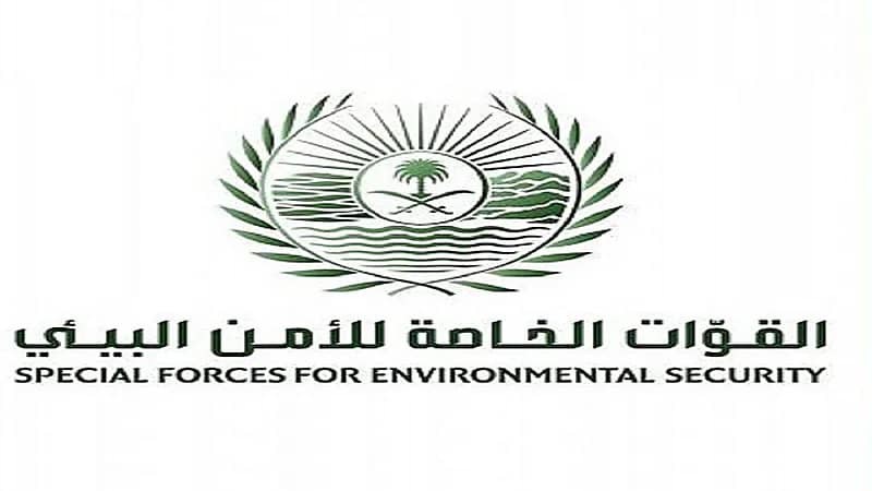 مصير مواطن اصطاد صقرًا تابعًا لـ " هدد "