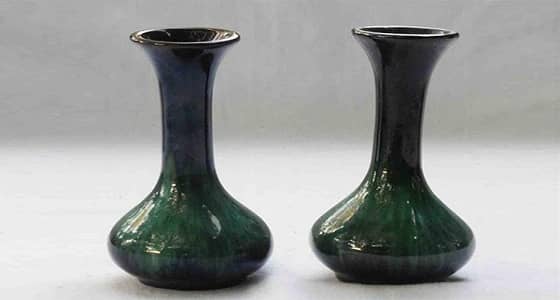 قاتل يحتفظ بأشلاء ضحاياه في " أوان الزهور "