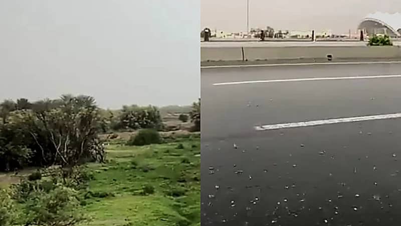 الطائف تكتسي حُلة المطر: أجواء ساحرة تعم المدينة.. فيديو