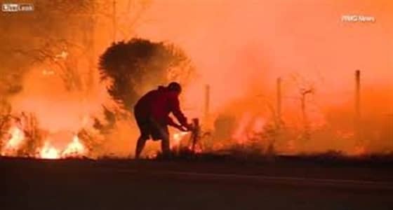 بالفيديو.. شاب يخاطر بحياته لانقاذ أرنب
