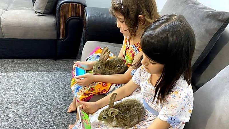 أب يشتري أرنبين لشغل ابنتيه عن الأجهزة الإلكترونية ليجد المفاجأة