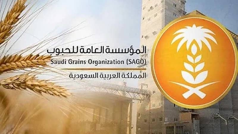 "العامة للحبوب" تبدأ بصرف مستحقات الدفعة الخامسة لمزارعي القمح المحلي