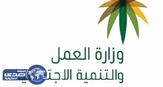 " العمل " تنهي تدريب 320 مدقق حوكمة في 39 مركزا للتنمية