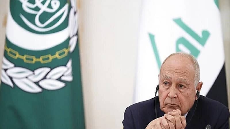 فيديو.. أبو الغيط: موقف مجلس الأمن من سد النهضة مؤسف