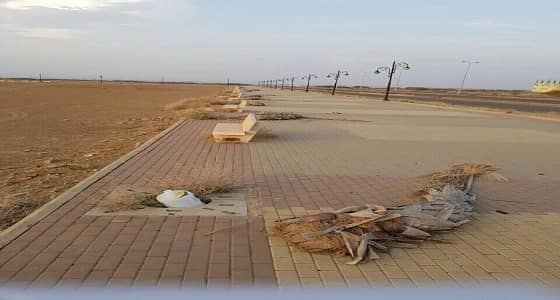 بالصور.. الإهمال يضرب حدائق مشاريع بلدية أبو عريش المليونية