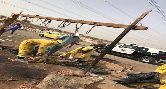 بالصور.. إزالة 34 مسلخا مخالفا في حي الرمال بالرياض