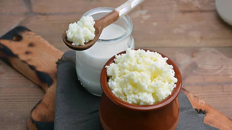 الخضيري: الكفير بديل مثالي للمكملات الغذائية.. فيديو