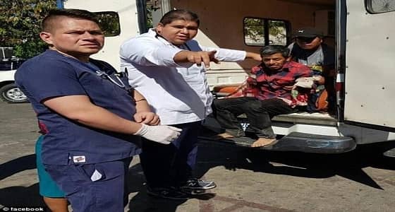 عامل سيرك يفقد ذراعيه بعد هجوم النمور عليه