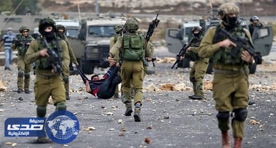 23 شهيدًا في الأرض المحتلة في 2017