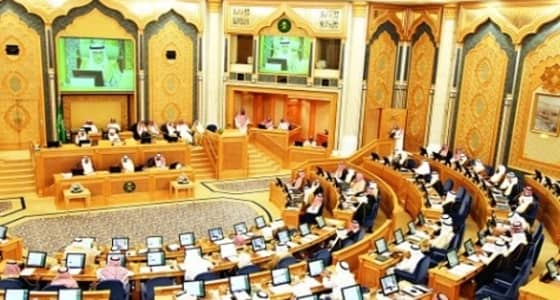 " الشورى " يطالب بتمكين العنصر النسائي بهيئة الرقابة والتحقيق