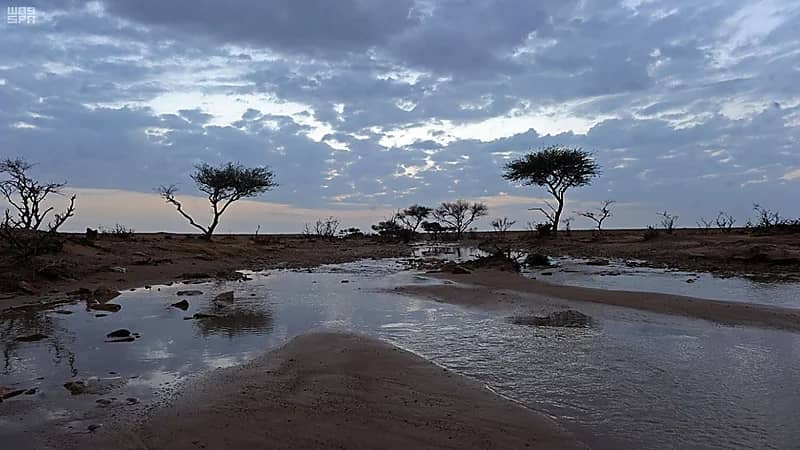 عقيل العقيل: انتهاء الموجة الباردة واستمرار الطقس البارد بشكل عام.. فيديو
