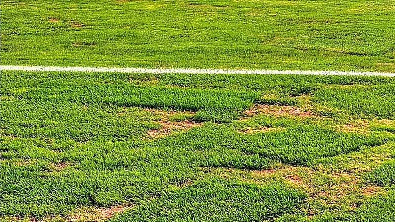 رئیس ‎نساجي: ملعب آزادي غير مناسب للقاء الهلال