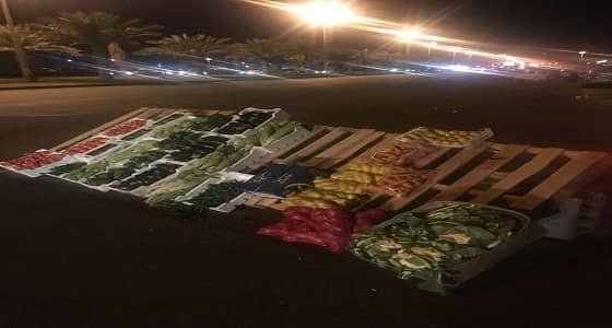 بالصور.. ضبط بضائع الباعة الجائلين من الشوارع العامة