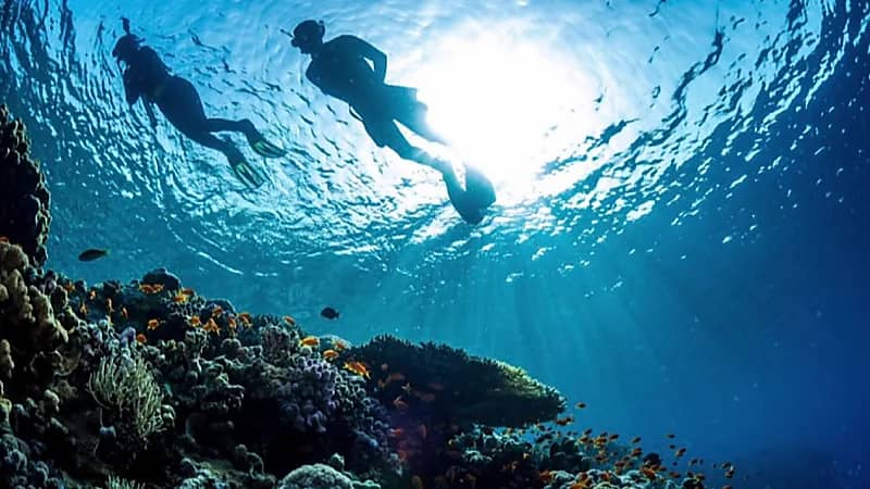 شركة البحر الأحمر تكشف عن توسعها لتصبح "البحر الأحمر الدولية"