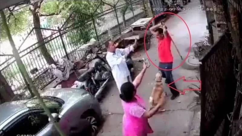رجل يتحول لوحش بعد مهاجمة كلب له