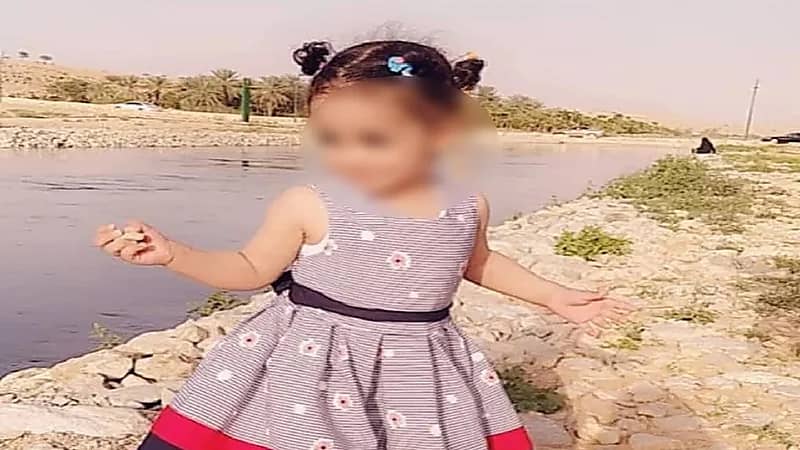 لجنة عاجلة لكشف مسببات افتراس كلاب ضالة لطفلة في الرياض