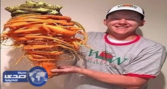 أمريكي يزرع أضخم جزرة في العالم