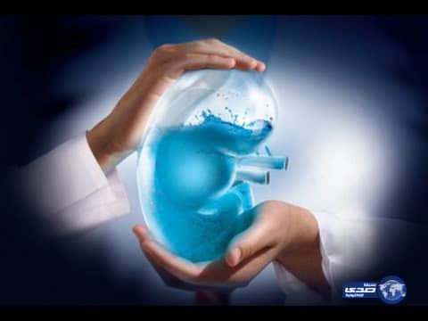 إحصائية: نسبة المصابات بالسمنة في المملكة تبلغ 67.5%