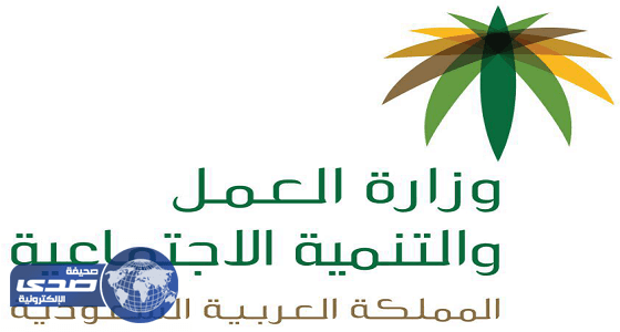 غداً.. " العمل والتنمية الاجتماعية " تمنح منشآت مهلة 4 أسابيع لتصحيح نشاطها