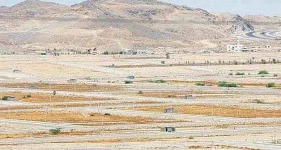 خبير اقتصادي : رسوم الأراضي تقضي على  المضاربة وتكبح الأسعار