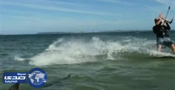 بالفيديو.. راكب أمواج  ينجو من قرش ضخم