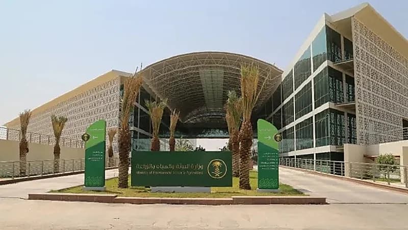 وزارة البيئة توفر 150 وظيفة شاغرة