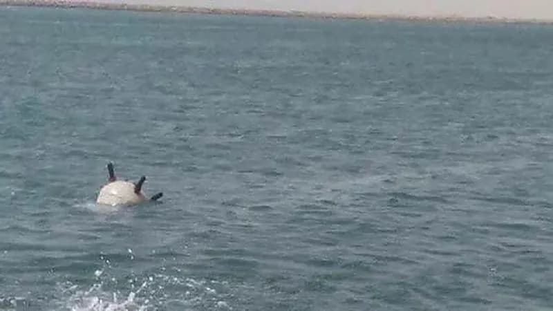 التحالف يدمر لغم بحري حوثي جنوب البحر الأحمر