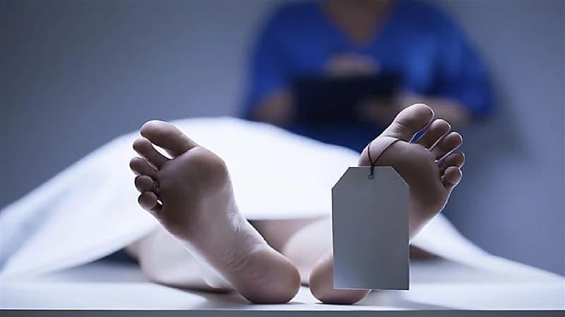 "آل جابر" يكشف عن تحرير مديرية حريب مأرب من الحوثيين 