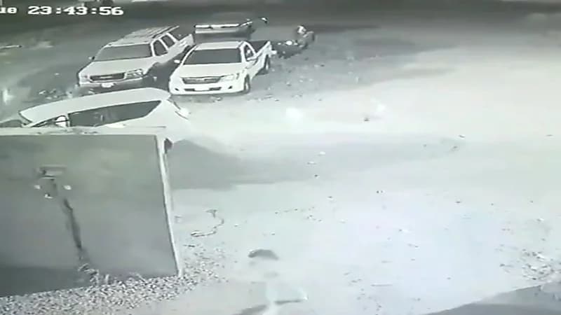 شاهد.. كلاب ضالة تلاحق طفلة صغيرة أثناء عودتها للمنزل