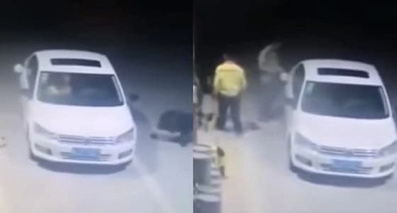 بالفيديو.. لحظة هجوم ذئاب على شابين ورد فعل صادم منهما