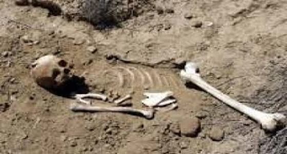 "أمانة جدة" تمنح تصريحًا لمستثمر لبناء روضة أطفال على مقبرة