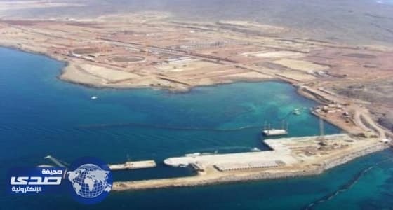 بالصور.. فنان هندي يحول أجساد الأبل إلى لوحات فنية مذهلة