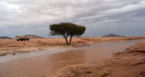 بالصور.. أمطار الرس تجذب الأهالي وهواة الرحلات البرية