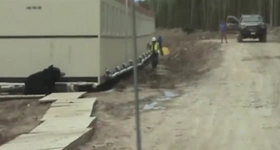 مقطع فيديو يحقق 78 مليون مشاهدة لسبب غريب