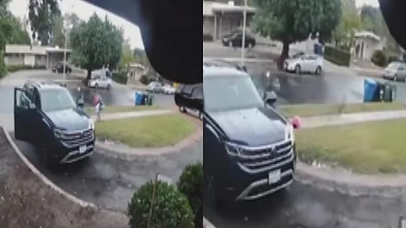 بالفيديو.. لحظة إنقاذ أب لطفلته من بين مخالب ذئب