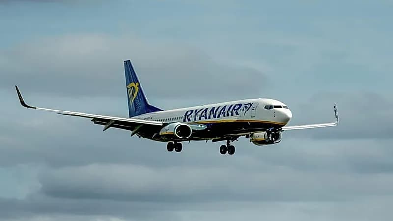 هبوط اضطراري لطائرة لمضغ مسافران جوازي سفرهما