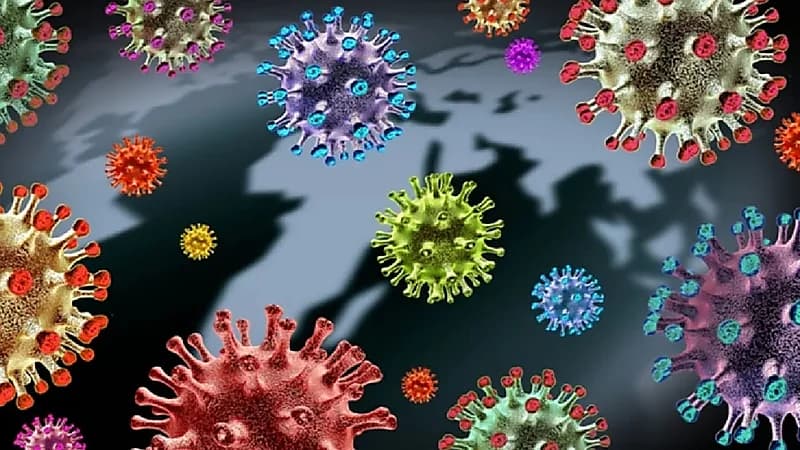 "تسونامي" من دلتا وأوميكرون.. منظمة الصحة تحذر العالم