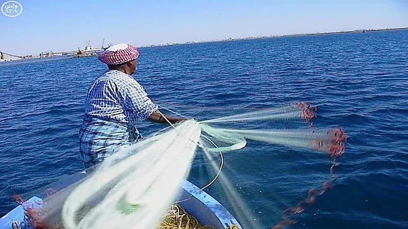 "البيئة" تطرح خدمة تعويض ودعم الصيادين 